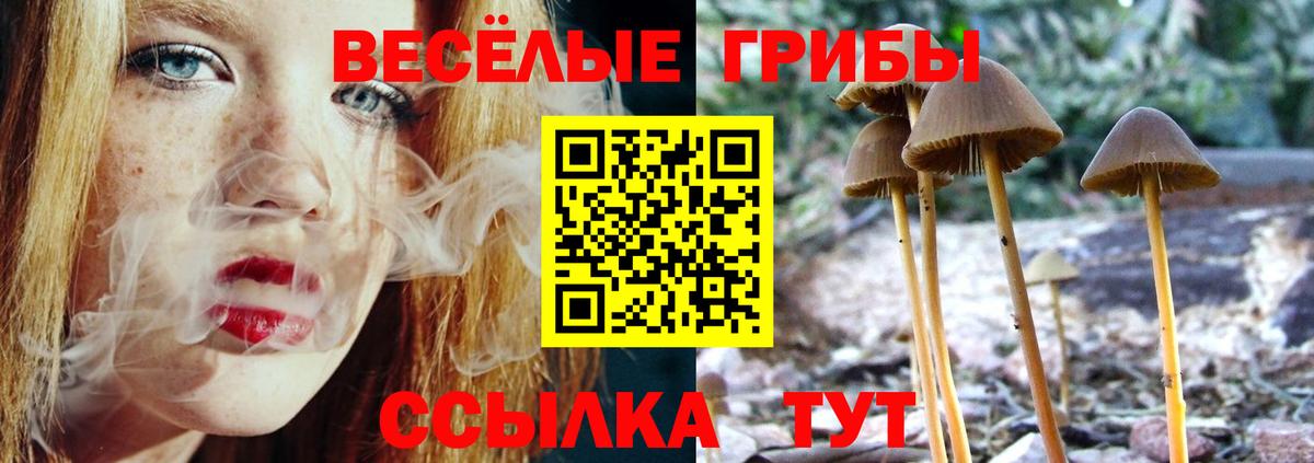 Псилоцибиновые грибы прущие грибы Искитим