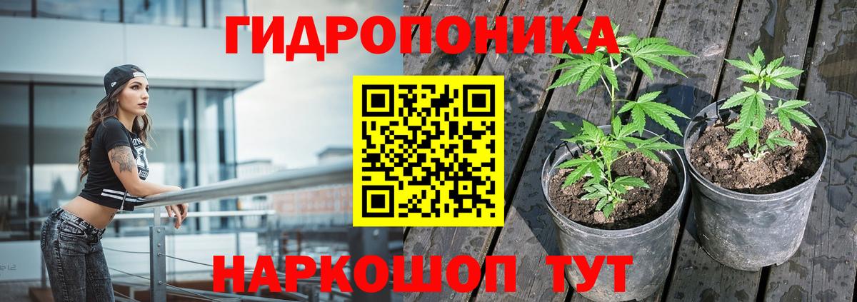 Бошки Шишки OG Kush  Канабис индика  Бошки Шишки OG Kush  Искитим  Вход с VPN  Канабис VHQ 